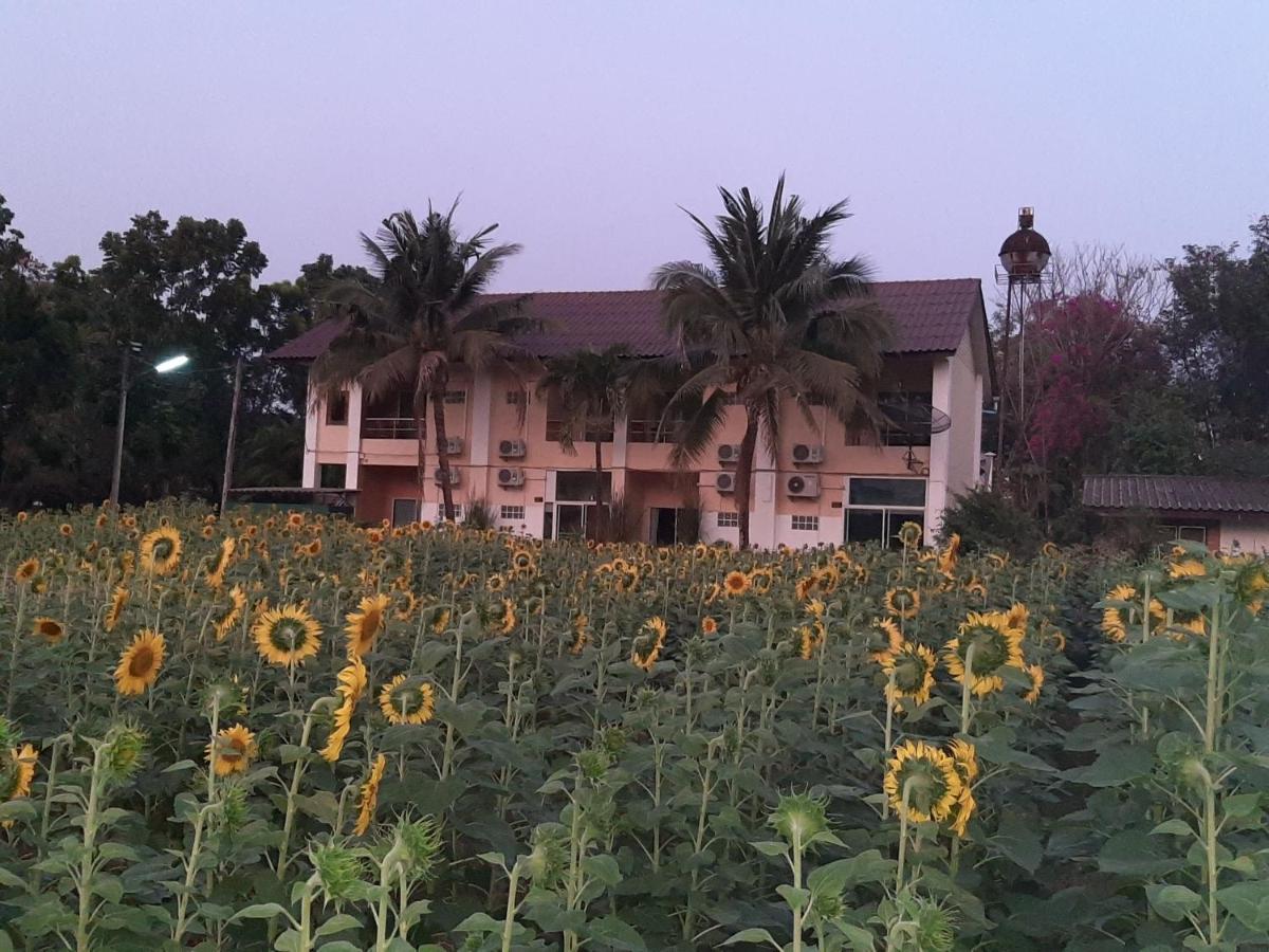 Liam'S Guesthouse Adults Only Chiang Mai Exterior photo